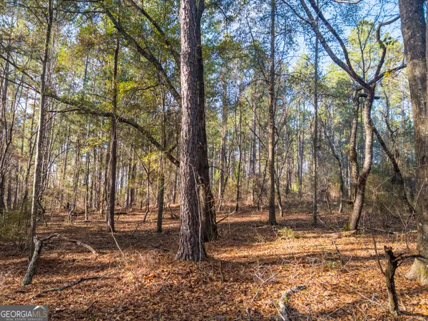 $100,000 | 0 Roberta Highway, Butler, GA 31006