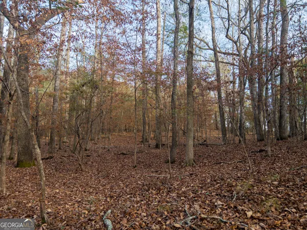 $100,000 | 0 Roberta Highway, Butler, GA 31006
