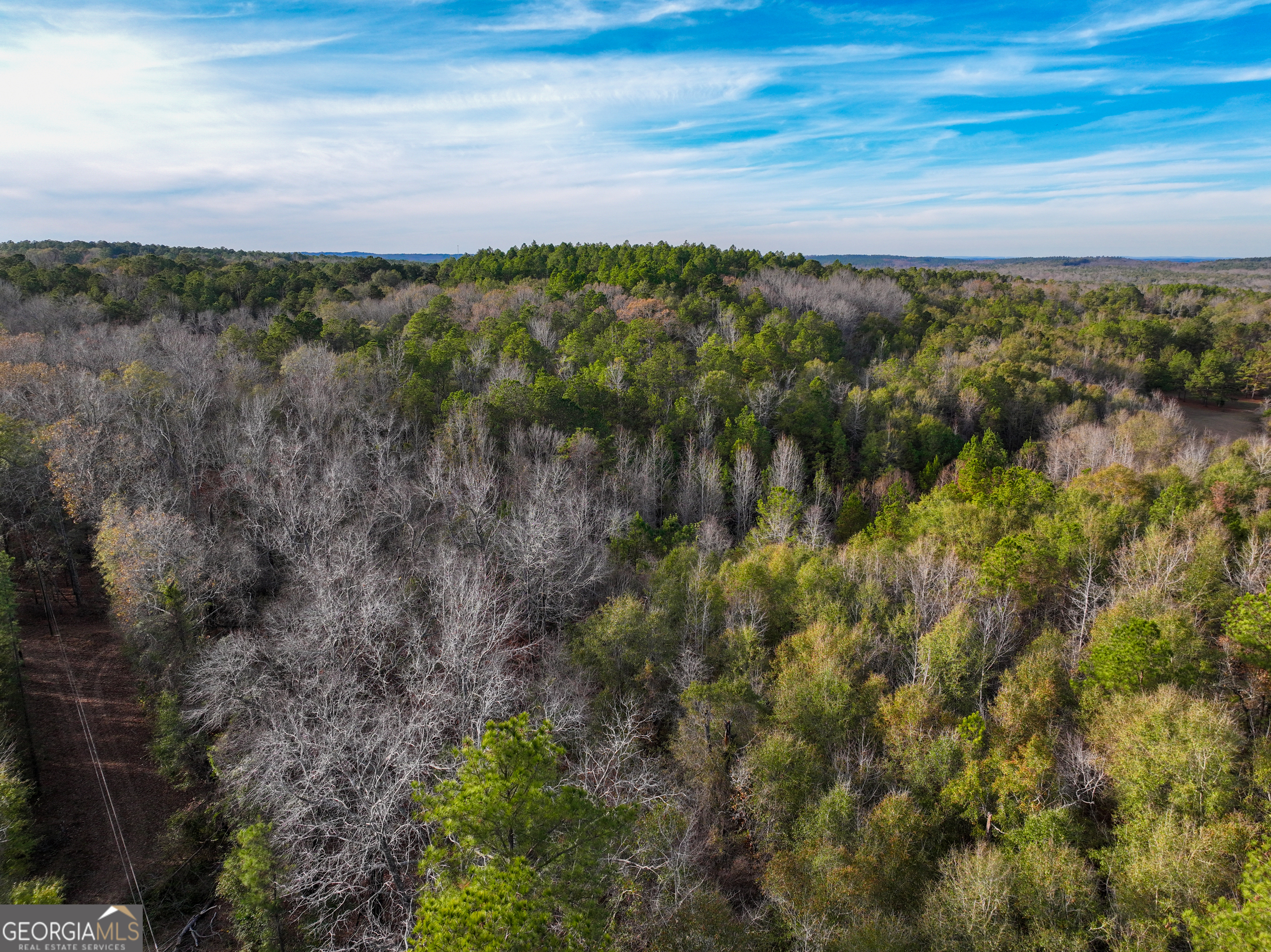 0 Roberta Highway Butler, GA 31006 - Photo 6 of 14
