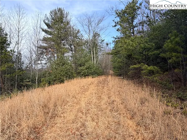 a view of a lake with a yard