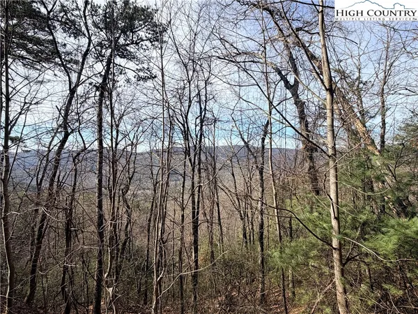 a backyard of a house with lots of trees