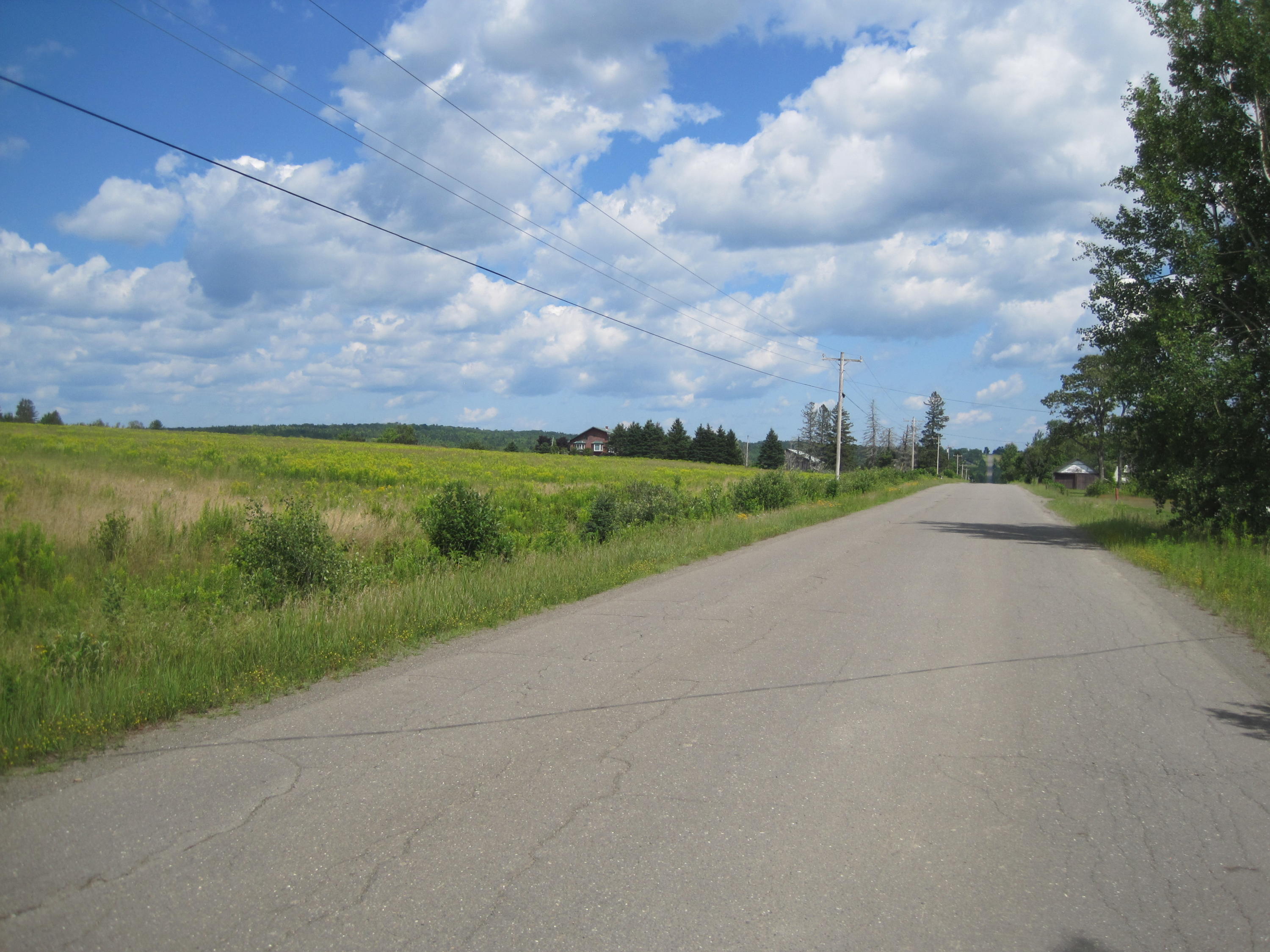 Lot 1 Town Line Road Merrill, ME 04780 - Photo 3 of 7 IMG_0009