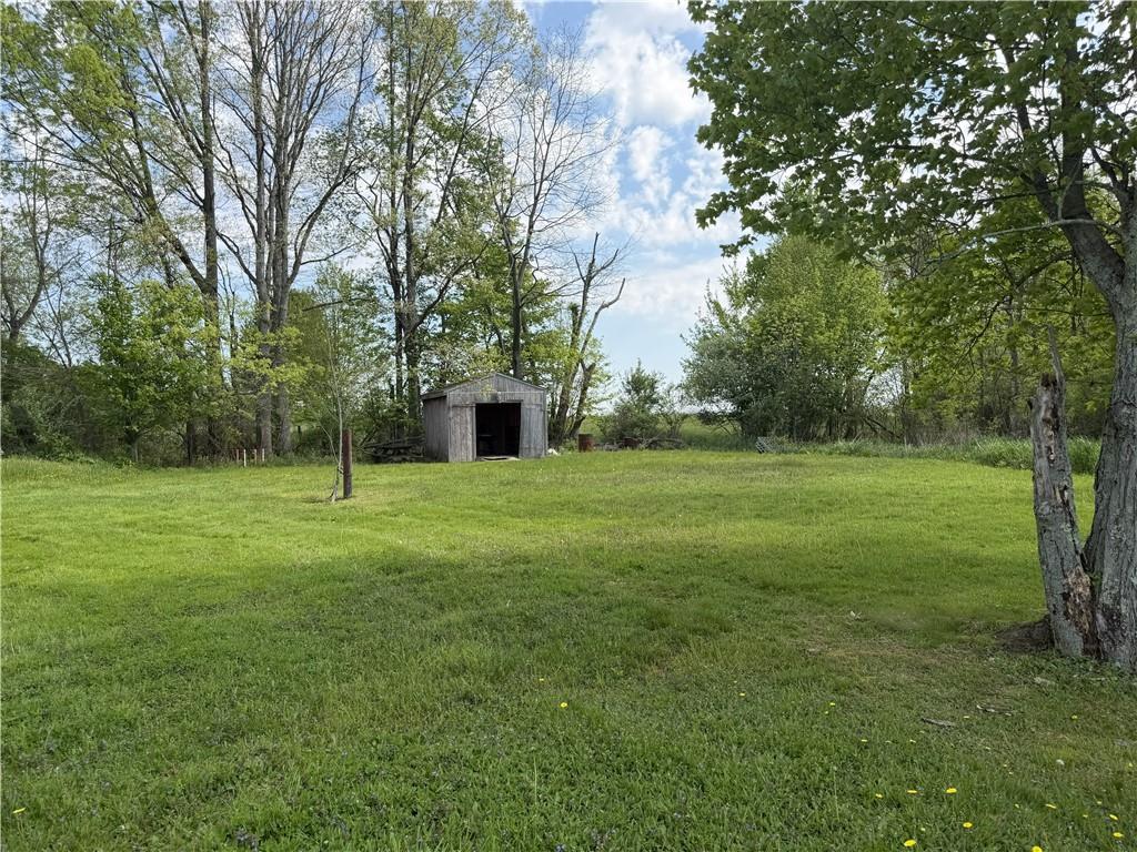 362 Stoneboro Road Grove City, PA 16127 - Photo 19 of 20 YARD AND SHED