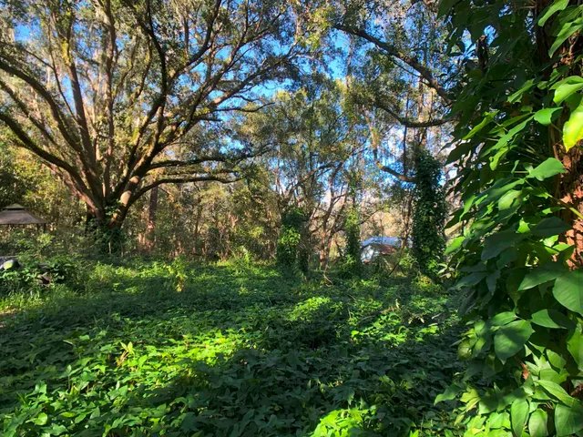 $24,950 | 5008 Railroad Avenue, Elkton, FL 32033