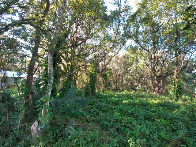 $24,950 | 5008 Railroad Avenue, Elkton, FL 32033