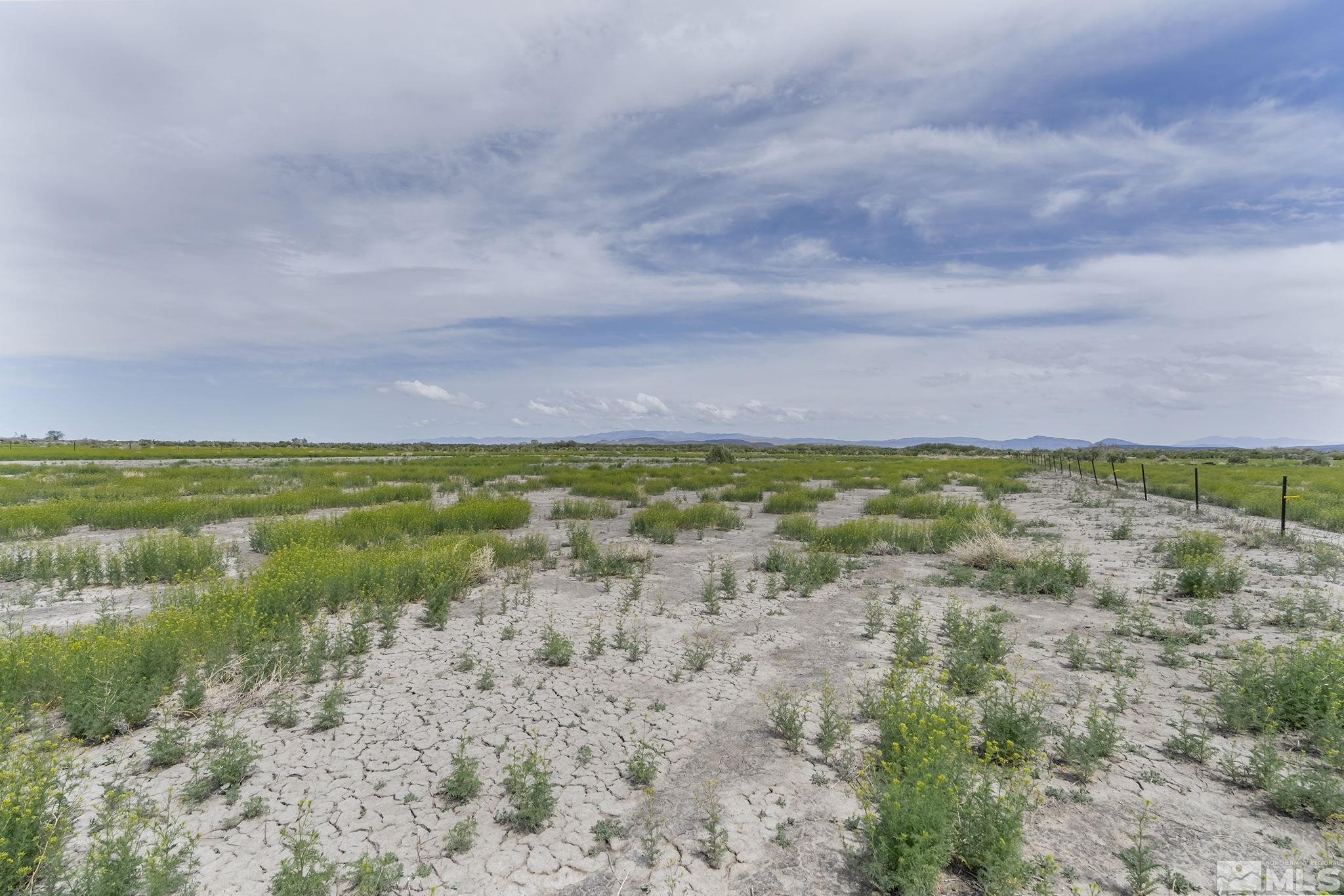 8155 Pasture Road Fallon, NV 89406 - Photo 2 of 6 Photo 2