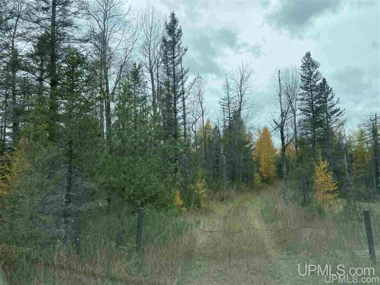 N15563 Co Road Vulcan, MI 49892 - Photo 2 of 2