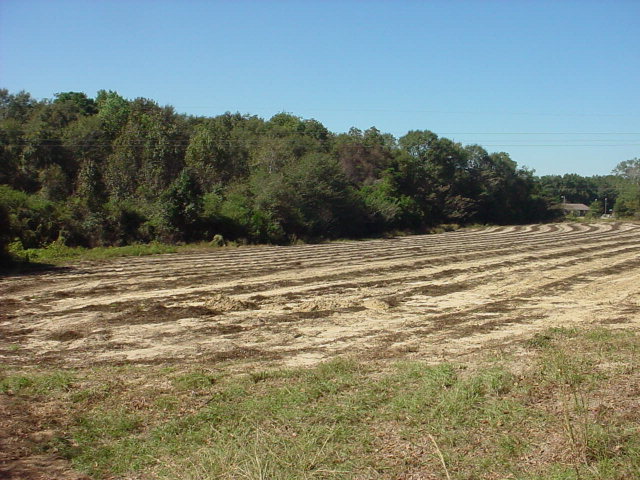 P14 Eaton Road Ashford, AL 36312 - Photo 1 of 1