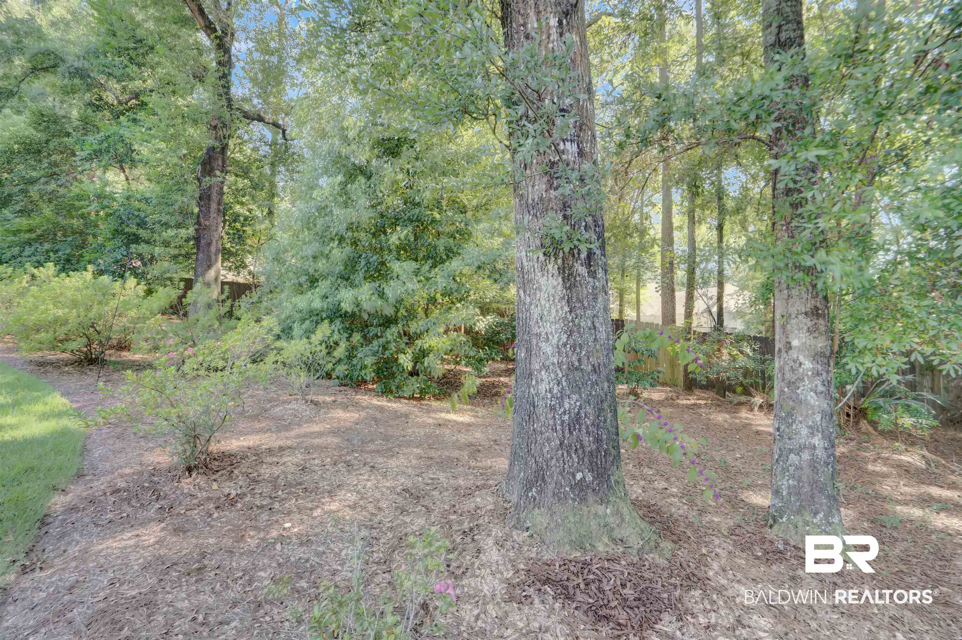 111 Beaver Dam Road Fairhope, AL 36532 - Photo 44 of 51 View of local wilderness