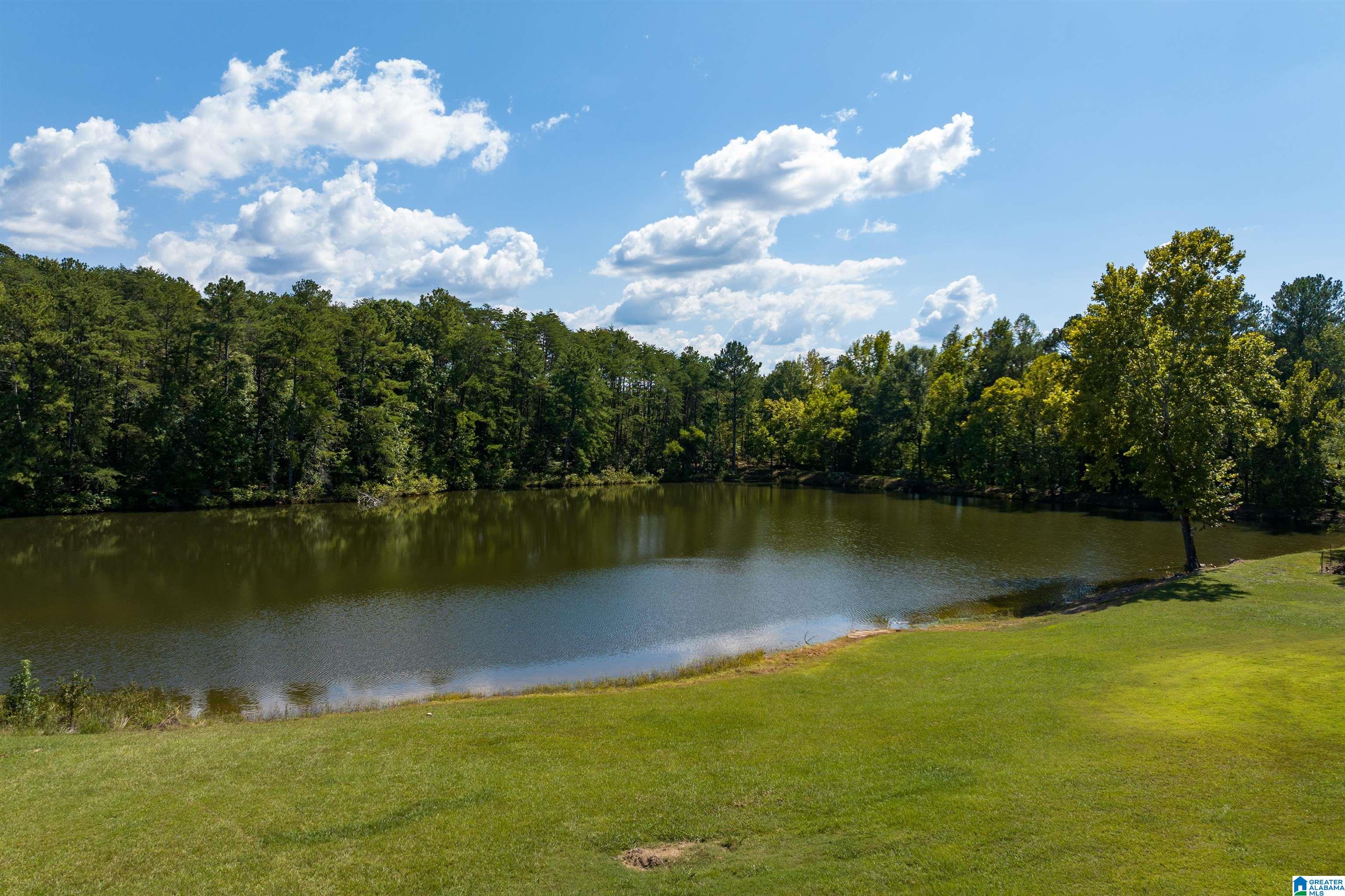 6677 Letson Lake Road Bessemer, AL 35023 - Photo 55 of 65