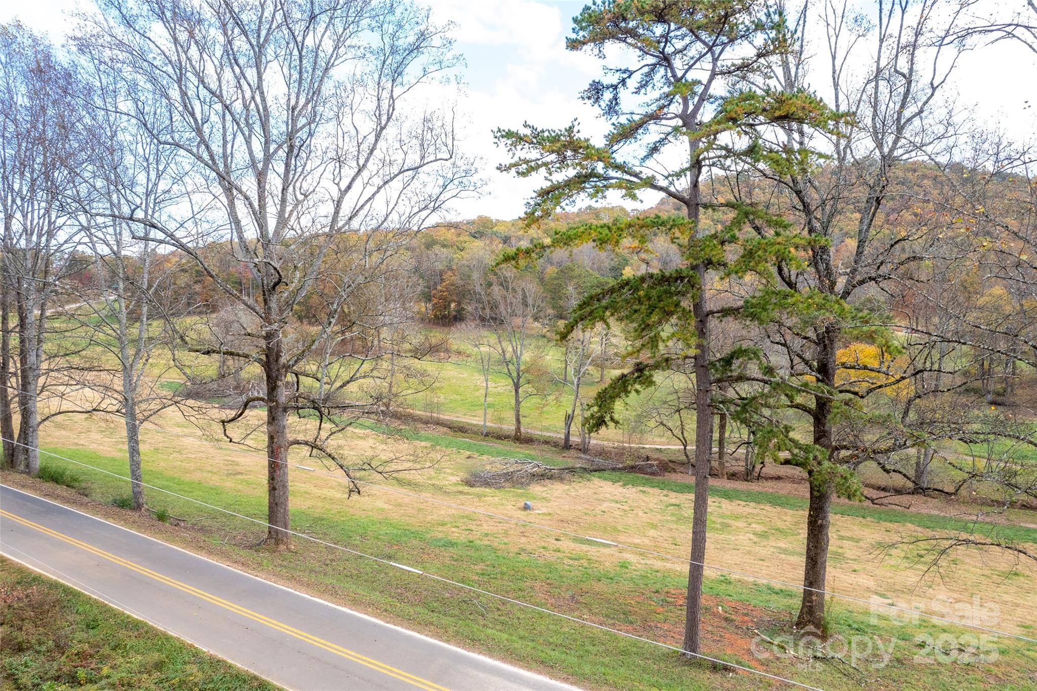 811 Golf Course Road Old Fort, NC 28762 - Photo 36 of 37 a view of a yard with an tree