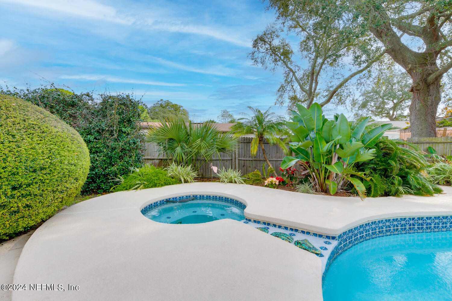 3997 Raintree Road Jacksonville, FL 32277 - Photo 34 of 58 Salt Water Pool w Spa