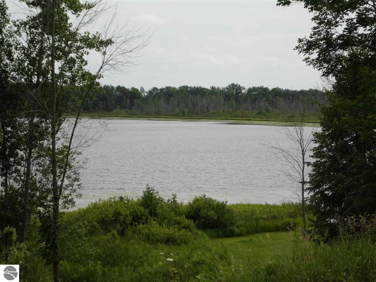 4158 Johnson Lake Road Prescott, MI 48756 - Photo 10 of 30 1813543-9.JPG