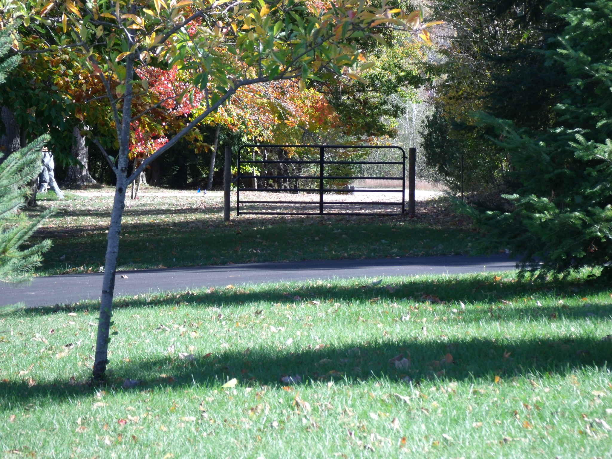 5210 Long Lake Road Cheboygan, MI 49721 - Photo 73 of 79 Gallery Image 73