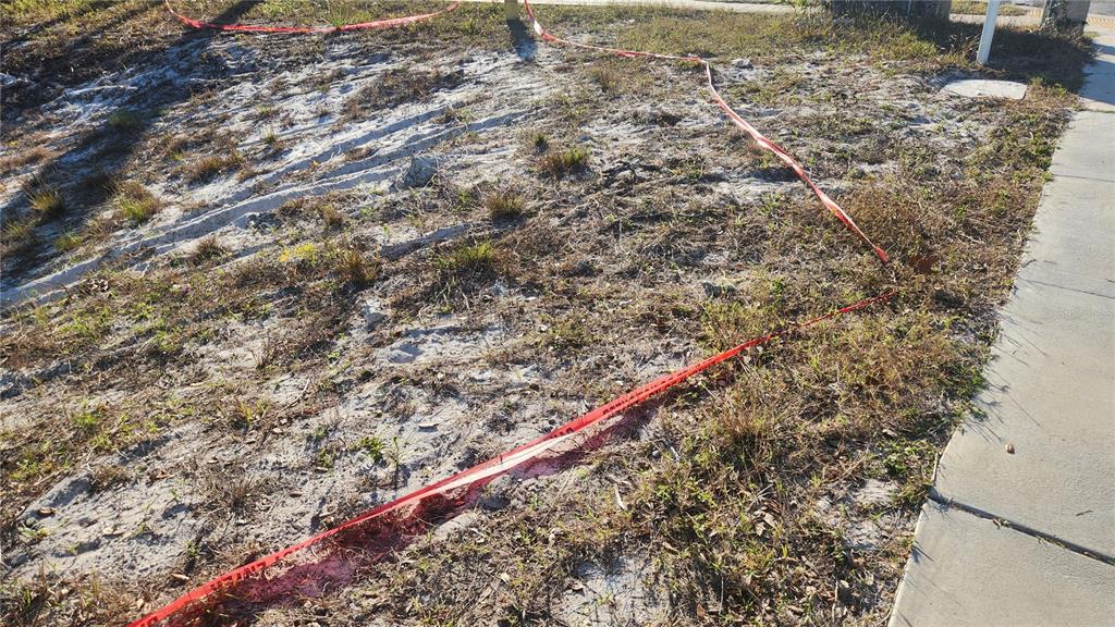 Druid Road East Clearwater, FL 33756 - Photo 5 of 6