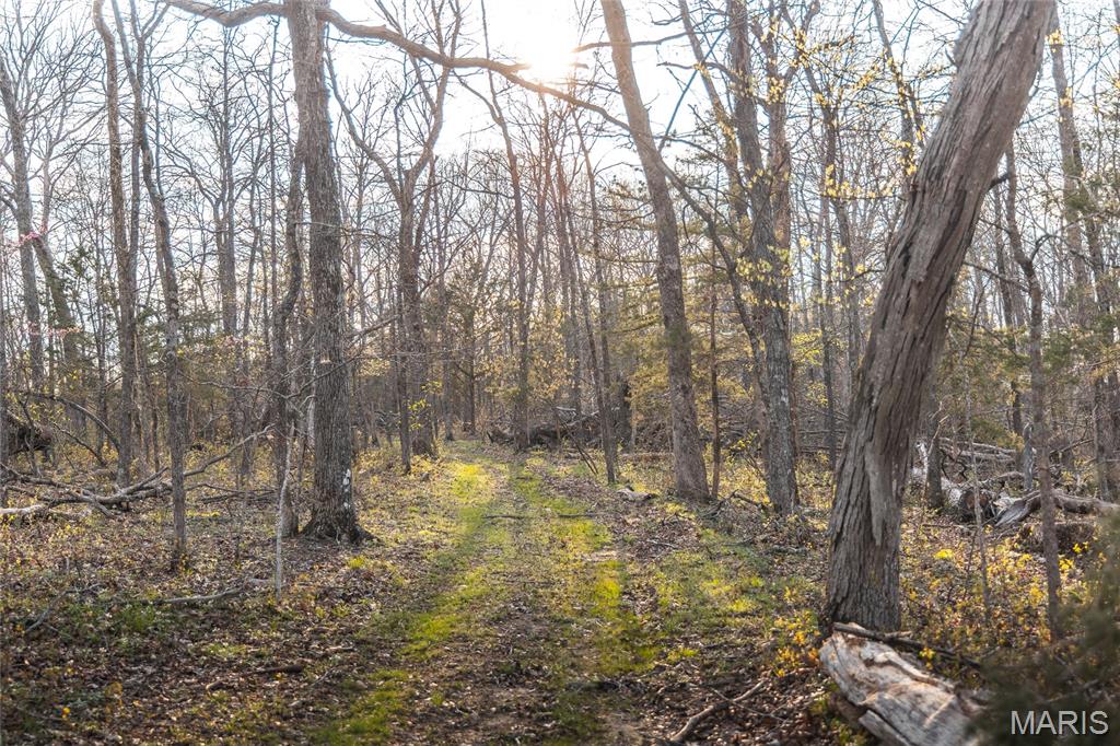 00 County Road 213 Vienna, MO 65582 - Photo 14 of 16