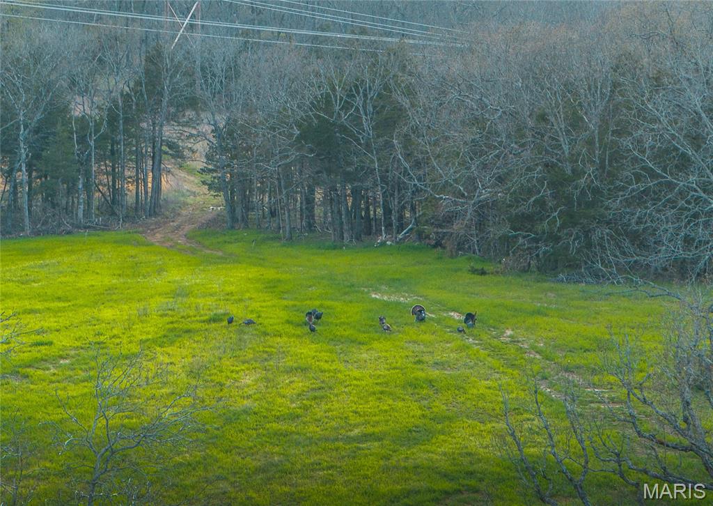 00 County Road 213 Vienna, MO 65582 - Photo 3 of 16