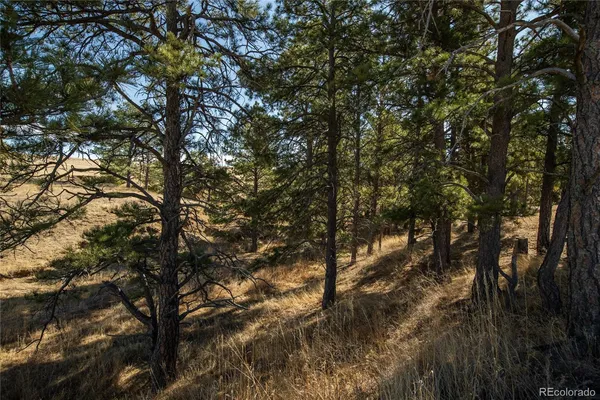 a view of a yard with wooden fence