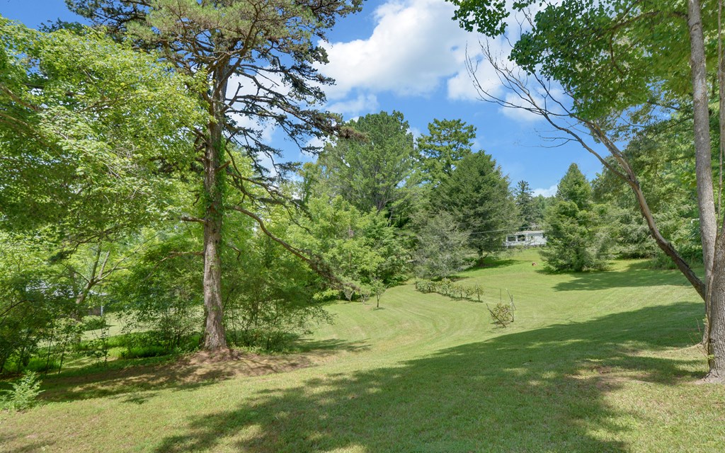 4311 Blue Ridge Drive Blue Ridge, GA 30513 - Photo 45 of 49 Gallery Image 45