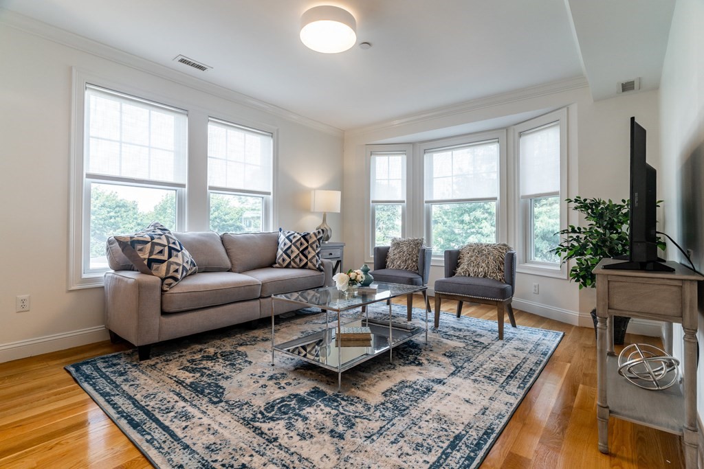 69 Parkton Road, Unit 3 Boston, MA 02130 - Photo 3 of 24 a living room with furniture and a potted plant