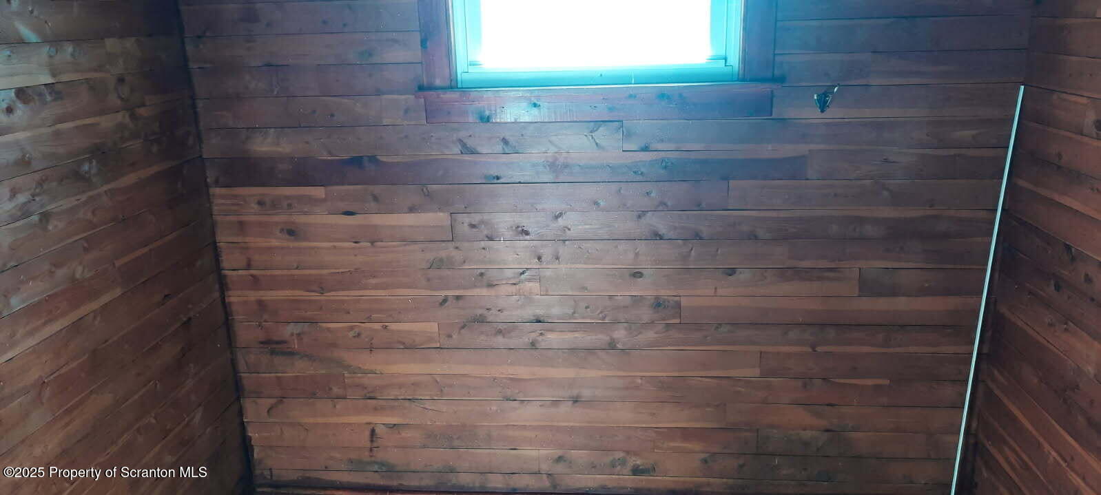 434 Hickory Street, Unit 2 Scranton, PA 18505 - Photo 16 of 17 Walk in cedar closet