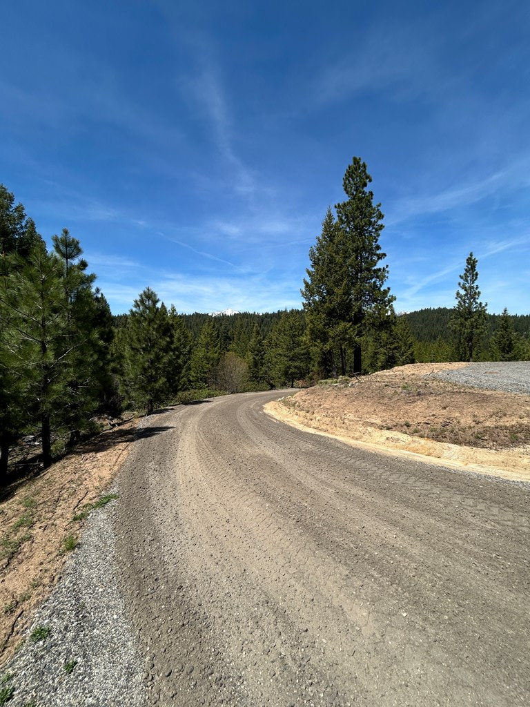 72 Sawtooth Loop, Unit LOT 32 Cascade, ID 83611 - Photo 10 of 12