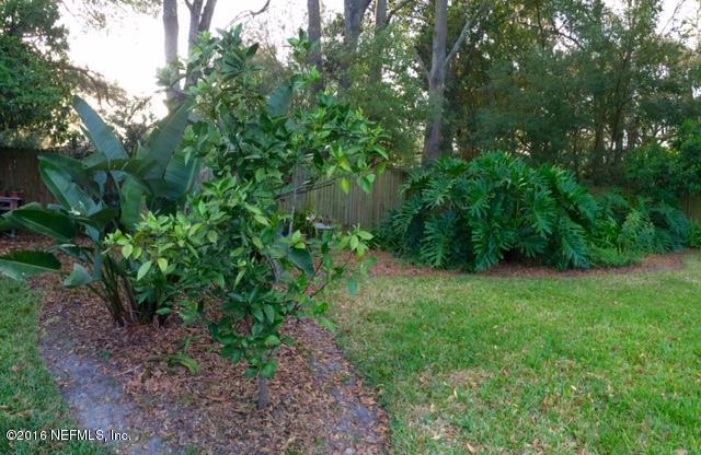 5656 Graywood Road Jacksonville, FL 32207 - Photo 33 of 39 Backyard