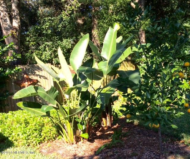 5656 Graywood Road Jacksonville, FL 32207 - Photo 37 of 39 Bird of Paradise