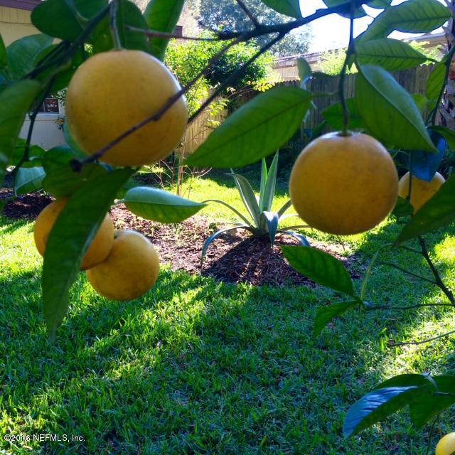 5656 Graywood Road Jacksonville, FL 32207 - Photo 38 of 39 Fruit Trees