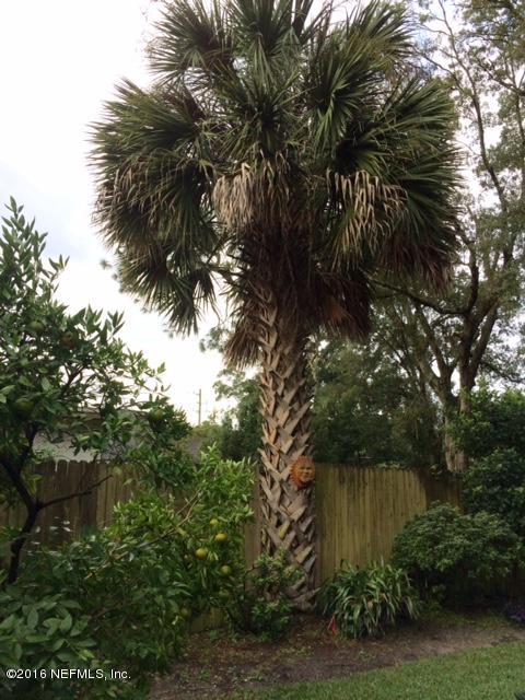 5656 Graywood Road Jacksonville, FL 32207 - Photo 39 of 39 Large Palm tree in bac