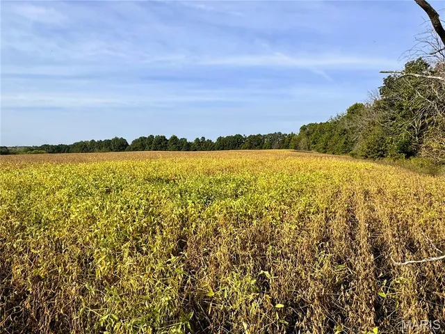 $430,550 | 0 Airline Street, Hurdland, MO 63547