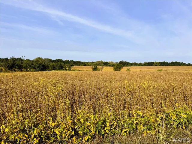 $430,550 | 0 Airline Street, Hurdland, MO 63547