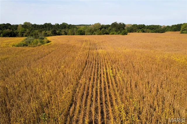 $430,550 | 0 Airline Street, Hurdland, MO 63547