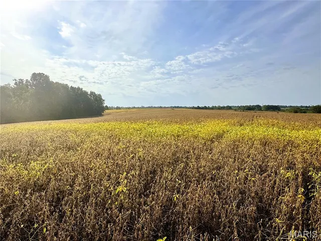 $430,550 | 0 Airline Street, Hurdland, MO 63547