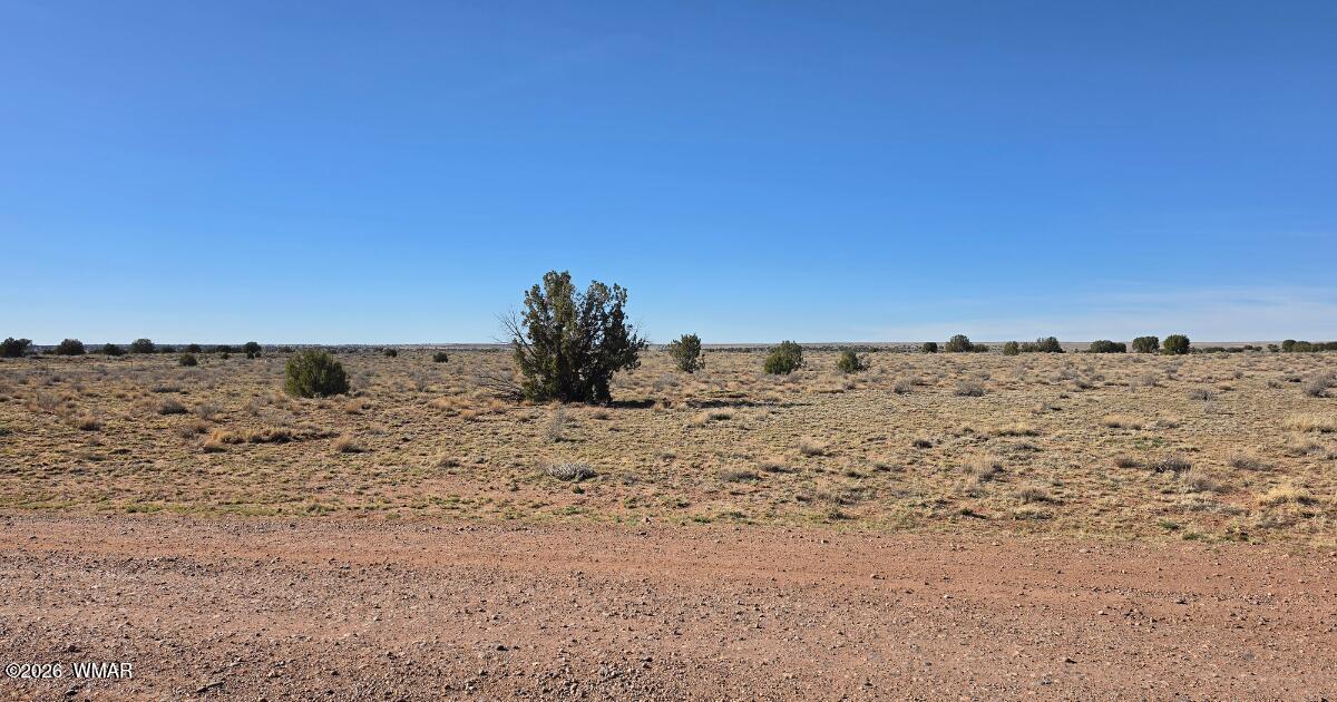 Lot 632 Lazy S Ranch Road Concho, AZ 85924 - Photo 25 of 27