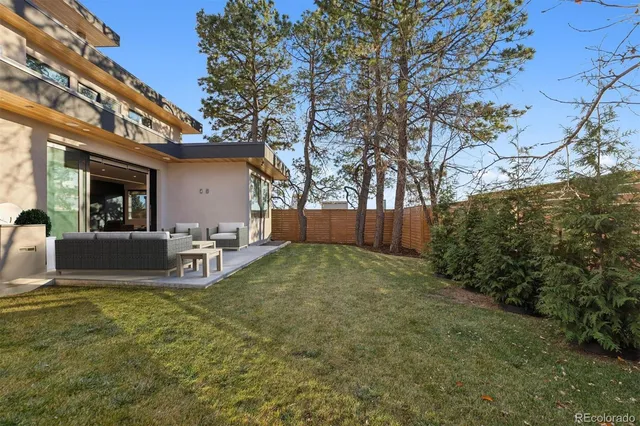 a view of a park with a large tree