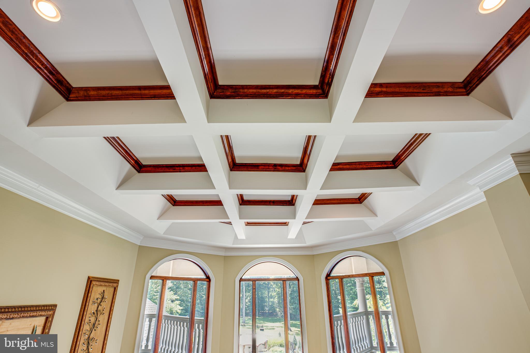 9 Winning Colors Road Stafford, VA 22556 - Photo 27 of 79 Palladium Windows & Coffered Ceiling