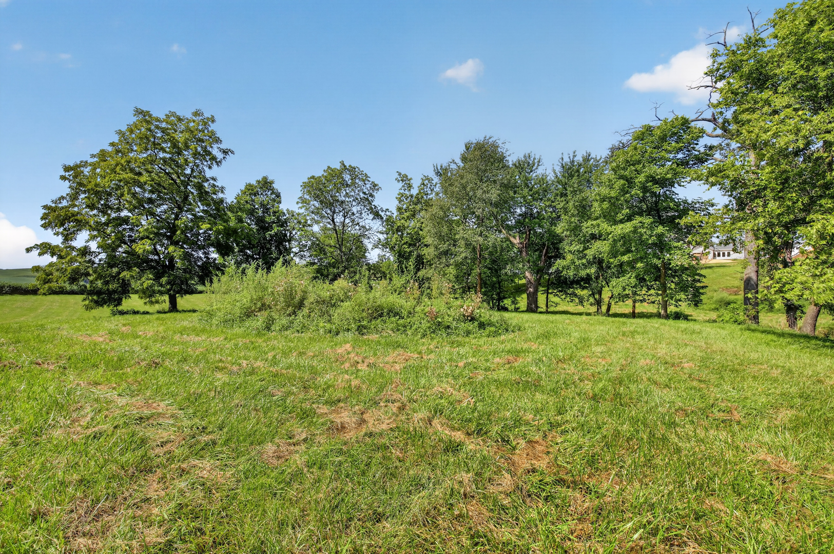 1650 Timberlane Road Delmar, IA 52037 - Photo 9 of 30 Gallery Image 9
