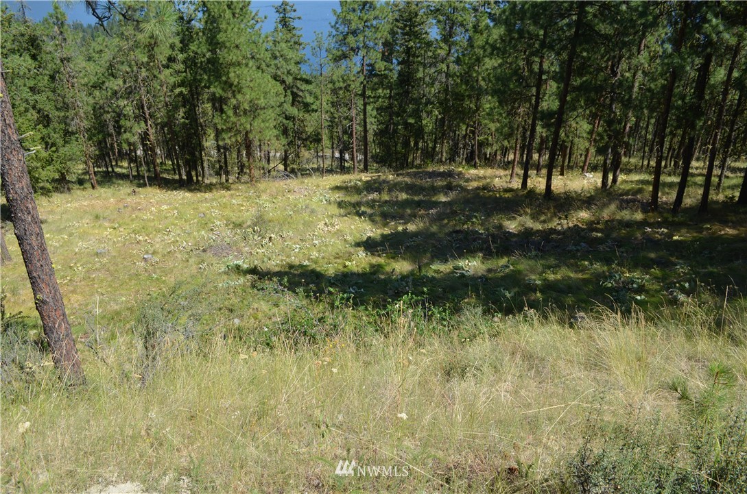 0 Guffy Road Chelan, WA 98816 - Photo 19 of 22 Gallery Image 19
