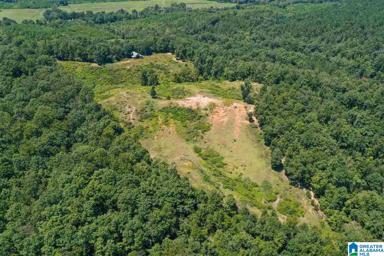 7015 County Road 55 Clanton, AL 35046 - Photo 49 of 49