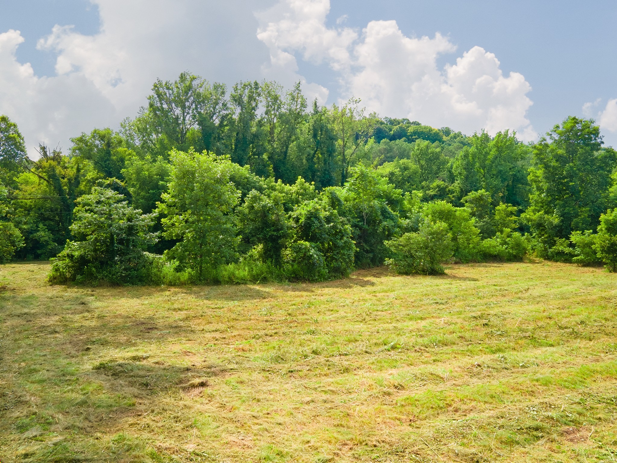 0 Dog Branch Road Goodspring, TN 38460 - Photo 28 of 46 Gallery Image 28