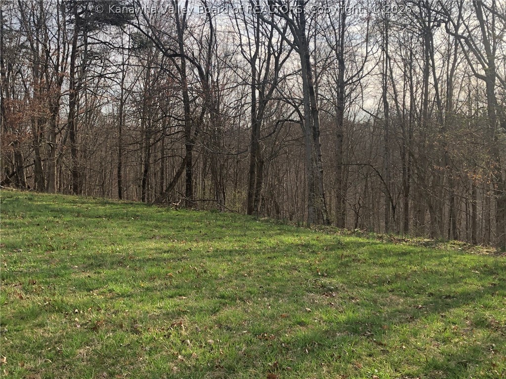 901 7 Mile Road Fraziers Bottom, WV 25082 - Photo 23 of 24 Gallery Image 23
