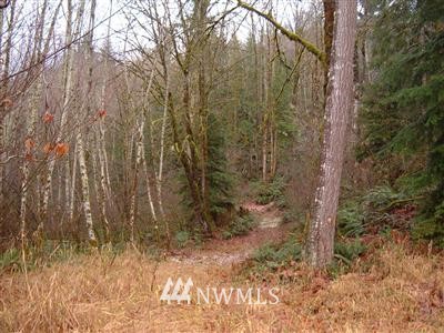 -xxx Bonell Road Randle, WA 98377 - Photo 1 of 1 Gallery Image 1