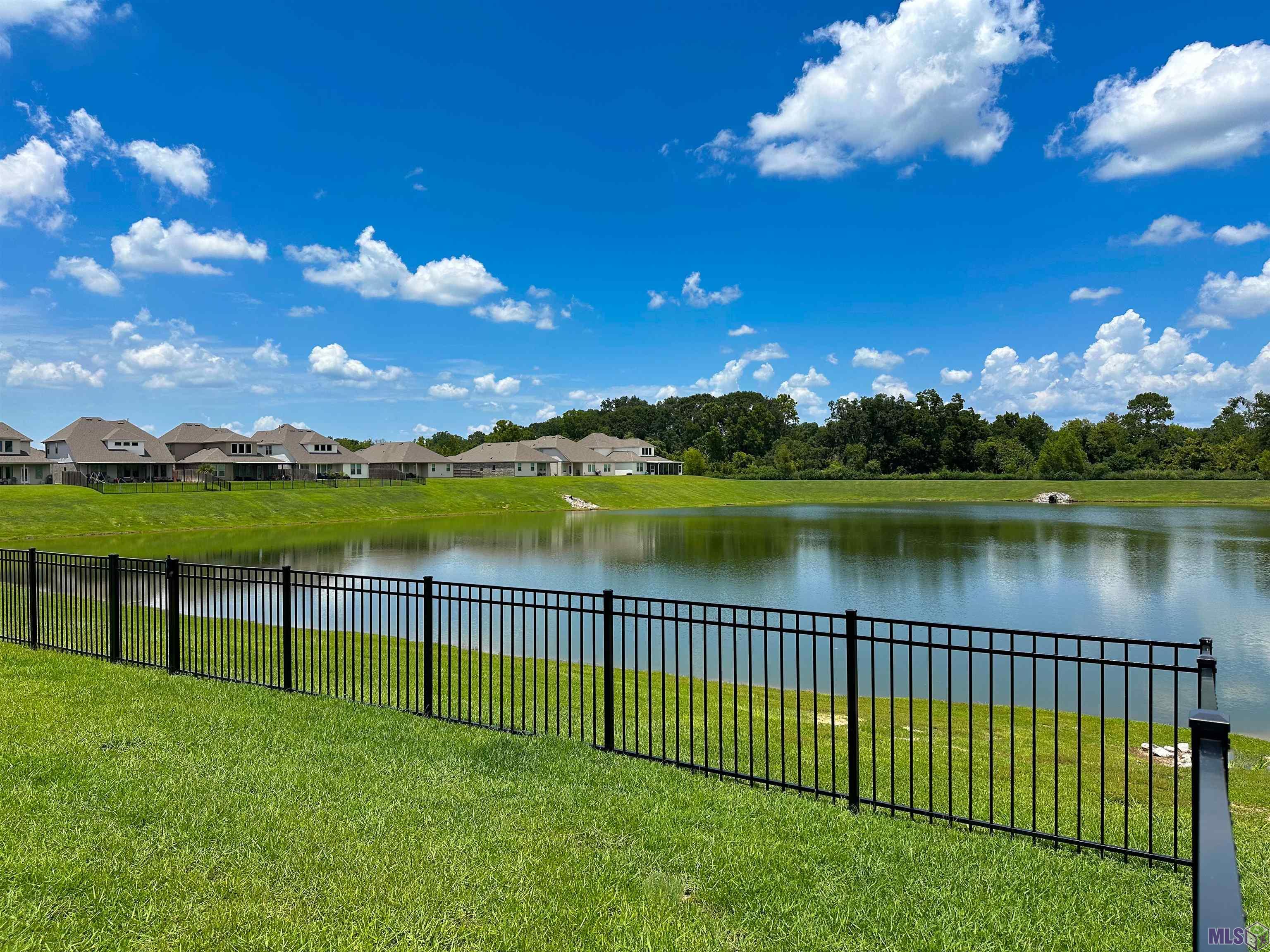 14167 Bellacosa Avenue Baton Rouge, LA 70817 - Photo 3 of 19