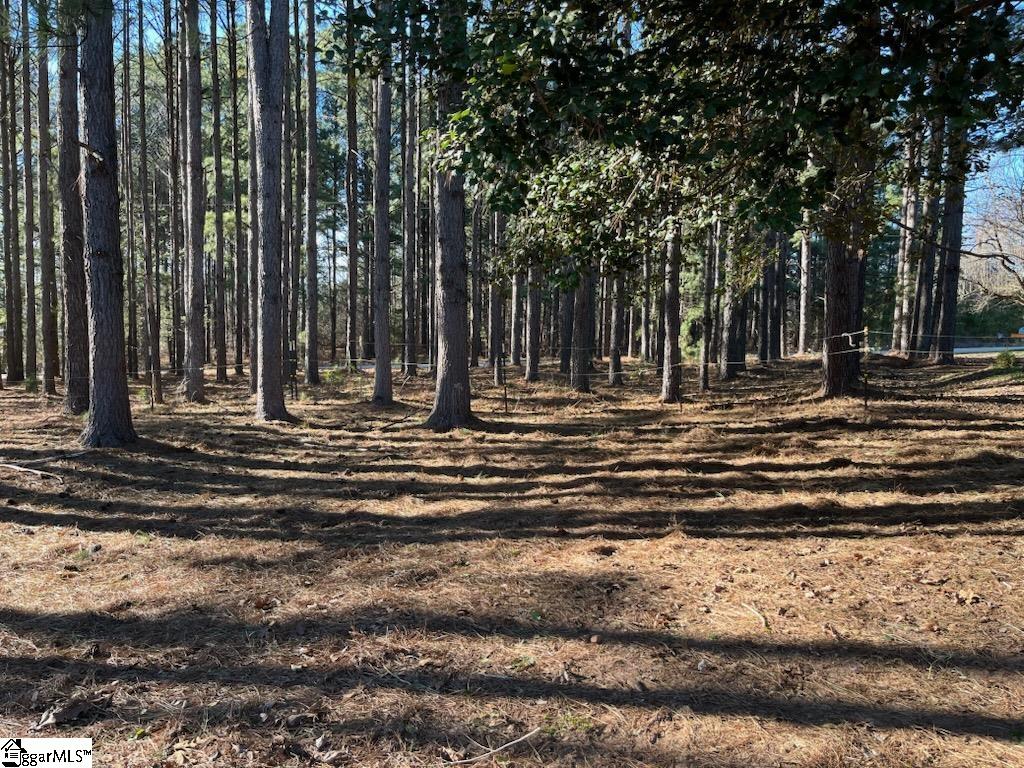 2075 Mt Lebanon Road Campobello, SC 29322 - Photo 1 of 3