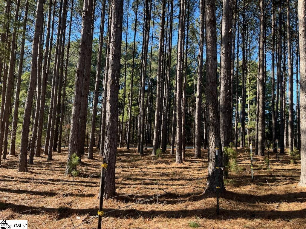 2075 Mt Lebanon Road Campobello, SC 29322 - Photo 2 of 3