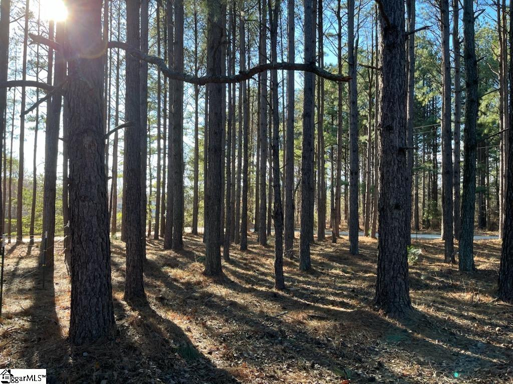 2075 Mt Lebanon Road Campobello, SC 29322 - Photo 3 of 3