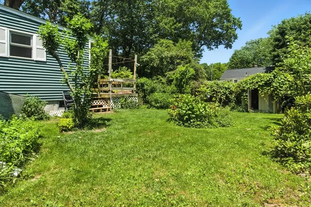 a view of a backyard with plants