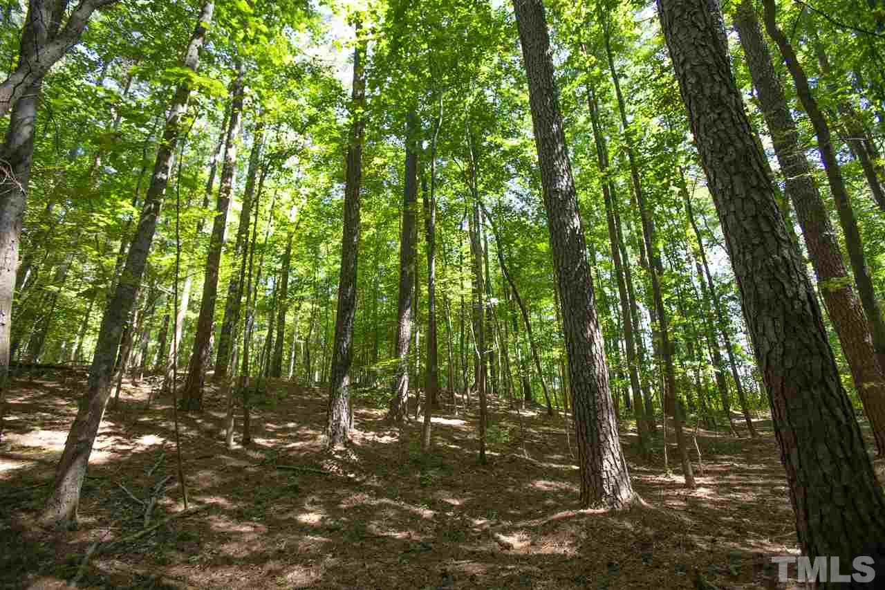 12117 Strickland Road Raleigh, NC 27613 - Photo 14 of 18