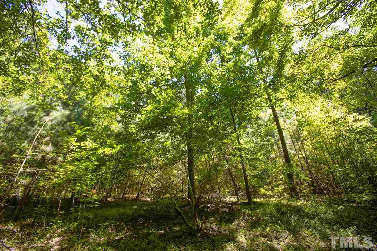 12117 Strickland Road Raleigh, NC 27613 - Photo 10 of 18